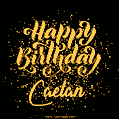 Happy Birthday Card for Caelan - Download GIF and Send for Free