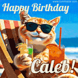 A cheerful cat wearing sunglasses, enjoying drinks on a sunny beach chair, with the text 'Happy Birthday Caleb!' in bright letters.