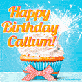 Happy Birthday, Callum! Elegant cupcake with a sparkler.