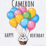 An adorable and cute cupcake with a smiley face and moving colorful balloons create a joyful birthday greeting for Cameron in this cheerful animated greeting E-card.