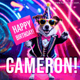Animated GIF of a cool dog wearing a suit and sunglasses, holding a 'Happy Birthday' sign for Cameron, set against a bright and colorful neon party background.