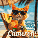 An animated orange cat wearing sunglasses, sitting on a beach chair with a tropical drink, with a festive 'Happy Birthday Cameron!' message.