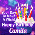 It's Your Day To Make A Wish! Happy Birthday Camila!