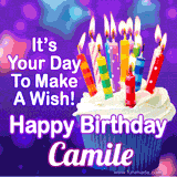 A colorful birthday GIF for Camile featuring a cupcake with vibrant lit candles and the text 'It's Your Day to Make a Wish! Happy Birthday Camile' in bold letters on a festive purple background.