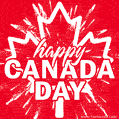 Beautiful fireworks Happy Canada Day GIF