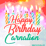 Bright birthday candles with rainbow flames on a cake, alongside the text 'Happy Birthday Carnation' in vibrant script in this celebratory animated GIF.