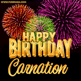 A golden 'Happy Birthday Carnation' message with vibrant fireworks in the background, creating a festive and celebratory vibe in this animated name GIF.