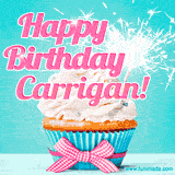 A festive cupcake with pink icing, a gingham bow, and a lit animated sparkler, paired with 'Happy Birthday Carrigan!' in bright pink text.