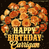 Animated bouquet of orange roses with moving butterfles and golden 'Happy Birthday Carrigan' text, surrounded by sparkling accents and a dark backdrop for a luxurious feel.