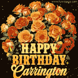 Animated bouquet of orange roses with moving butterfles and golden 'Happy Birthday Carrington' text, surrounded by sparkling accents and a dark backdrop for a luxurious feel.