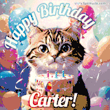 A playful tabby cat sits behind a colorful birthday cake surrounded by balloons and confetti, with 'Happy Birthday Carter!' written above in festive letters.