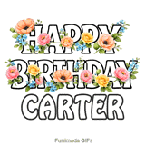 Happy Birthday Carter written in bold outline letters decorated with colorful flowers