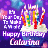 A colorful birthday GIF for Catarina featuring a cupcake with vibrant lit candles and the text 'It's Your Day to Make a Wish! Happy Birthday Catarina' in bold letters on a festive purple background.