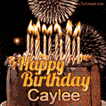 Chocolate Happy Birthday Cake for Caylee (GIF)