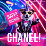 Animated GIF of a cool dog wearing a suit and sunglasses, holding a 'Happy Birthday' sign for Chanel, set against a bright and colorful neon party background.