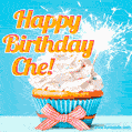 Happy Birthday, Che! Elegant cupcake with a sparkler.