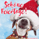 Ein lachender Hund mit Weihnachtsmütze und Glocken um den Hals vor verschneitem Hintergrund mit weichen Schneeflocken.