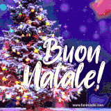 GIF con un grande albero di Natale innevato, addobbato con luci colorate scintillanti e la scritta 'Buon Natale!'
