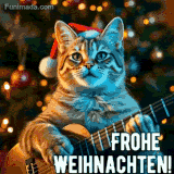 Eine coole Katze mit Weihnachtsmütze spielt Gitarre vor einem leuchtenden Weihnachtsbaum.