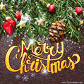 Elegant and lovely Merry Christmas lettering on green tree branches background