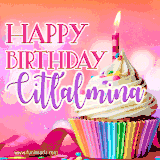A vibrant birthday GIF featuring a rainbow-colored cupcake topped with white frosting, sprinkles, and a lit candle. The text reads 'Happy Birthday Citlalmina' in bold pink and violet letters with white outline.