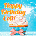 Happy Birthday, Colt! Elegant cupcake with a sparkler.