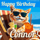 A cheerful cat wearing sunglasses, enjoying drinks on a sunny beach chair, with the text 'Happy Birthday Connor!' in bright letters.