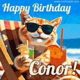 A cheerful cat wearing sunglasses, enjoying drinks on a sunny beach chair, with the text 'Happy Birthday Conor!' in bright letters.