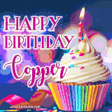 A festive animated GIF featuring a colorful cupcake with a single lit candle, sprinkles, and 'Happy Birthday Copper' text against a sparkling, celebratory background.
