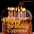Chocolate Happy Birthday Cake for Cypress (GIF)