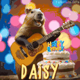 Animated birthday GIF showing a capybara playing guitar and singing beside a birthday cake with the name Daisy in large letters and colorful bokeh lights in the background.