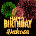 Wishing You A Happy Birthday, Dakota! Best fireworks GIF animated greeting card.