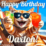 A cheerful cat wearing sunglasses, enjoying drinks on a sunny beach chair, with the text 'Happy Birthday Daxton!' in bright letters.