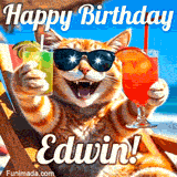 A cheerful cat wearing sunglasses, enjoying drinks on a sunny beach chair, with the text 'Happy Birthday Edwin!' in bright letters.