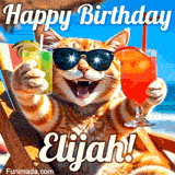 A cheerful cat wearing sunglasses, enjoying drinks on a sunny beach chair, with the text 'Happy Birthday Elijah!' in bright letters.