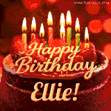Beautifully decorated red velvet berry birthday cake with vibrant fruits and a glowing 'Ellie' name, adding a touch of sweetness and sparkle.