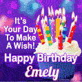 It's Your Day To Make A Wish! Happy Birthday Emely!