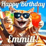 A cheerful cat wearing sunglasses, enjoying drinks on a sunny beach chair, with the text 'Happy Birthday Emmitt!' in bright letters.