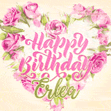 A stunning heart made of pink roses surrounds the elegant script text 'Happy Birthday Erlea' on a soft beige background. Animated sparkles add a magical and festive feel.