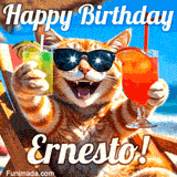 A cheerful cat wearing sunglasses, enjoying drinks on a sunny beach chair, with the text 'Happy Birthday Ernesto!' in bright letters.
