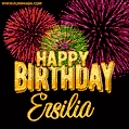 Wishing You A Happy Birthday, Ersilia! Best fireworks GIF animated greeting card.