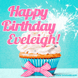 A festive cupcake with pink icing, a gingham bow, and a lit animated sparkler, paired with 'Happy Birthday Eveleigh!' in bright pink text.