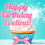 A festive cupcake with pink icing, a gingham bow, and a lit animated sparkler, paired with 'Happy Birthday Evelina!' in bright pink text.