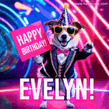 Animated GIF of a cool dog wearing a suit and sunglasses, holding a 'Happy Birthday' sign for Evelyn, set against a bright and colorful neon party background.