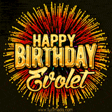 Golden 'Happy Birthday Evolet' text accompanied by animated rainbow fireworks for a festive animated greeting.