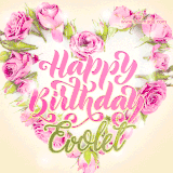 A stunning heart made of pink roses surrounds the elegant script text 'Happy Birthday Evolet' on a soft beige background. Animated sparkles add a magical and festive feel.