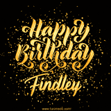 Animated GIF with colorful, festive 'Happy Birthday Findley' text decorated with patterns, a party hat, and falling confetti. A vibrant and cheerful design for birthday celebrations.