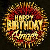 Golden 'Happy Birthday Ginger' text accompanied by animated rainbow fireworks for a festive animated greeting.