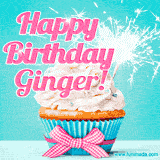 A festive cupcake with pink icing, a gingham bow, and a lit animated sparkler, paired with 'Happy Birthday Ginger!' in bright pink text.