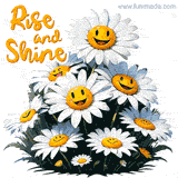 A group of daisies with cheerful smiley faces and the text 'Rise and Shine' in warm orange lettering.